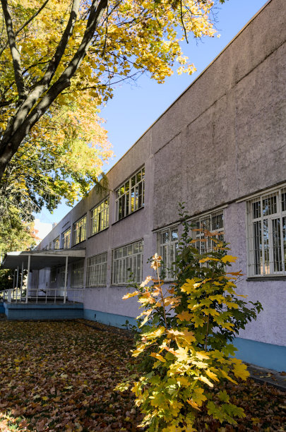 秋天在城里图片下载