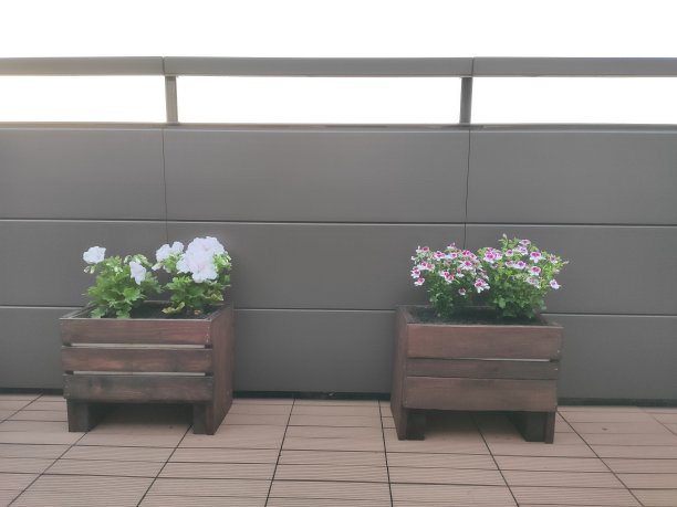 木制花盆图片下载