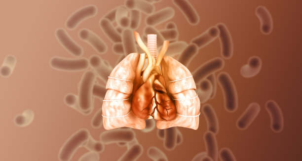 人体呼吸系统解剖学图片下载