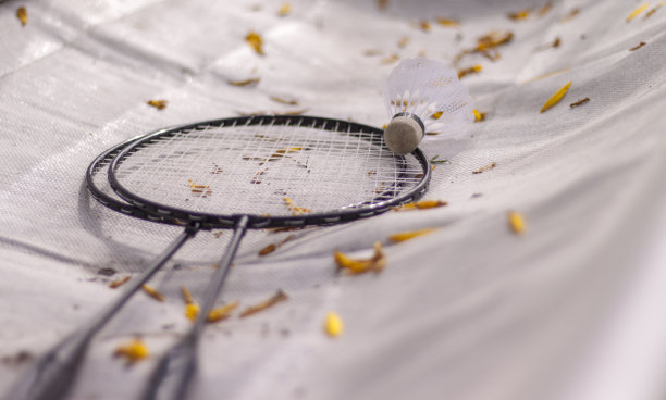 秋千上的羽毛球拍图片下载