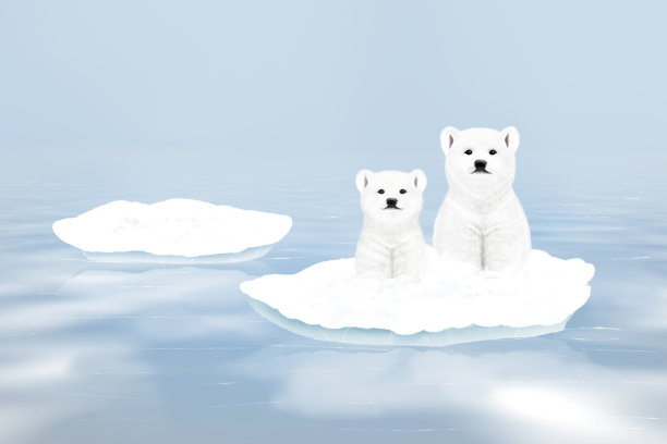 两只可爱的北极熊站在雪地上图片下载