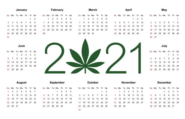 简单的可编辑矢量日历2021年。一周从星期天开始。图片下载