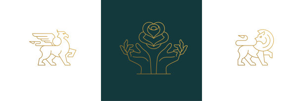 矢量线女性化装饰设计元素集花和女性手势手插图最小线性风格图片下载