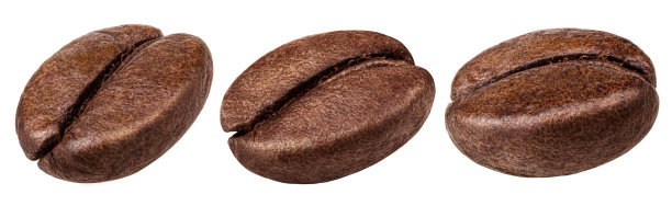 白色背景上分离出的咖啡豆。集合图片下载