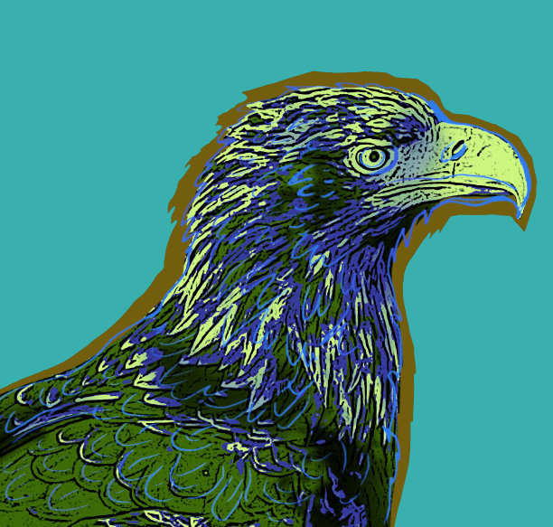 在蓝绿色背景上的山鹰的图像，抽象画图片下载