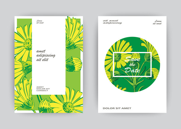 手绘特写菊花艺术图片下载