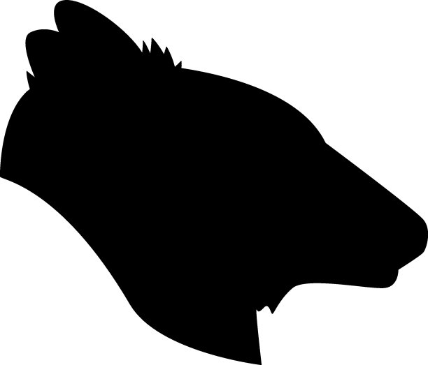 熊的头。图片下载