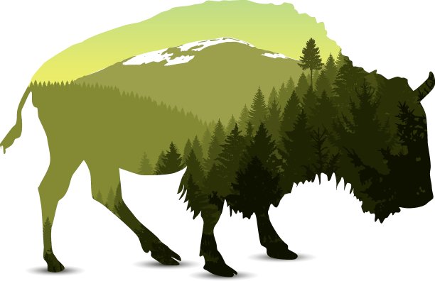 轮廓的野牛图片下载