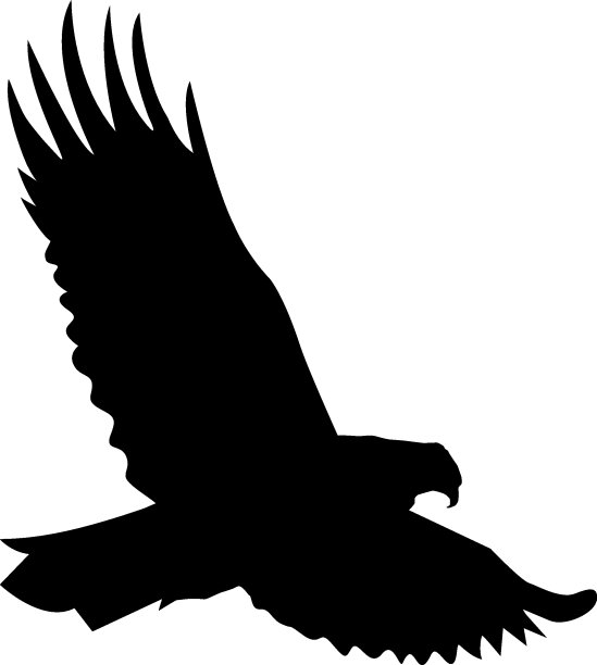 鹰的剪影。图片下载