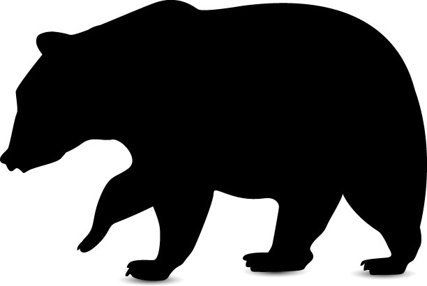 熊的轮廓。图片下载