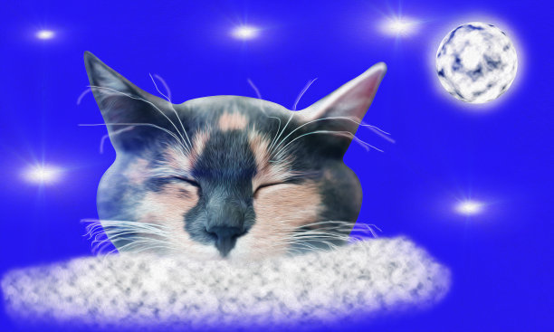 一只猫睡在天空中有月亮和星星的云上。用油画画的插图。孩子们的画。图片下载