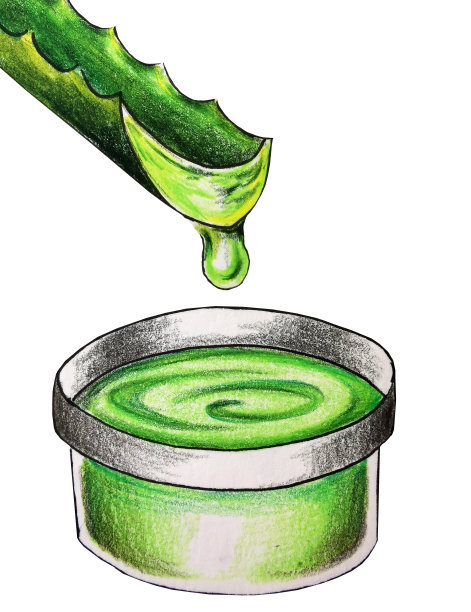 芦荟和新鲜的果汁用彩色铅笔画图片下载