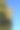 秋天黄绿色的叶子背景孤立的杨树的颜色叶片与明亮的蓝色清澈的天空图片下载