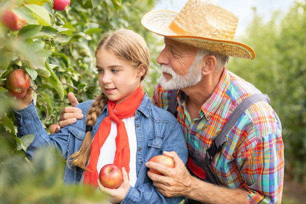 摘苹果图片下载
