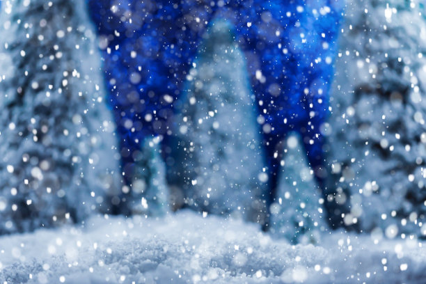 雪花森林圣诞贺卡图片下载