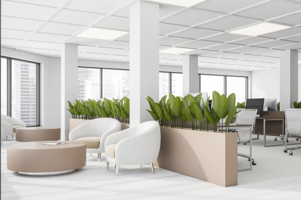 白色的办公室等候室角落里有扶手椅图片下载