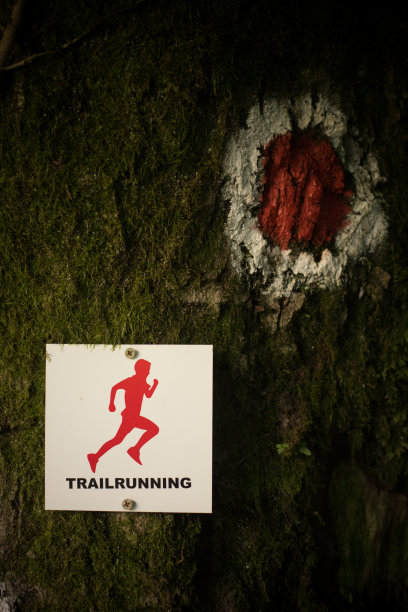 在树上留下的小道痕迹图片下载