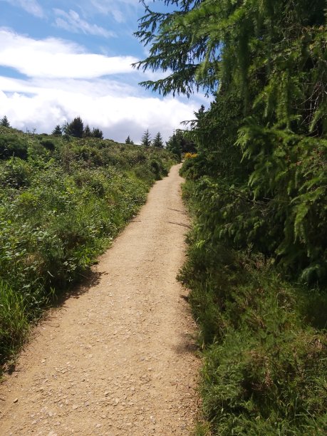 黄金之路图片下载