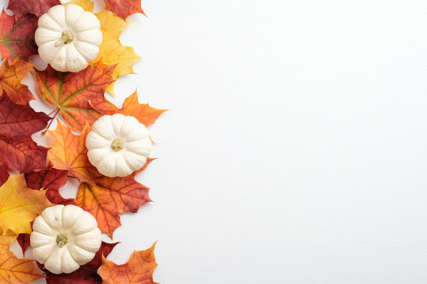 秋季框架橙色枫叶和南瓜在白色的背景。秋天，秋天，收获，感恩的概念。平铺风格组成，俯视图，复制空间。图片下载