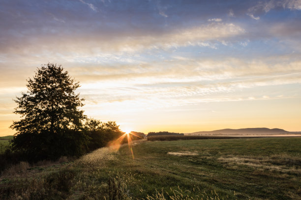在一个美丽的秋天的早晨，太阳之星在田野上升起图片下载