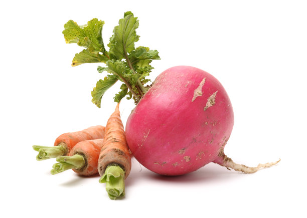新鲜萝卜和胡萝卜图片下载