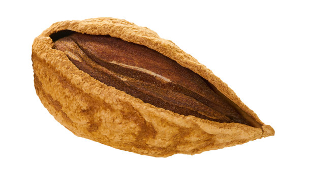 杏仁壳与剪切路径图片下载