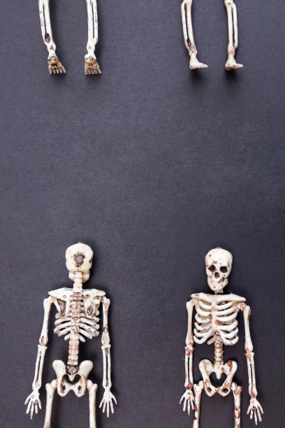 黑色背景上的骷髅。死亡日的概念万圣节的名片。图片下载