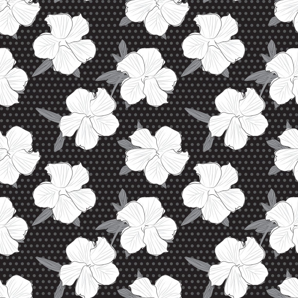 黑白植物花卉无缝图案图片下载