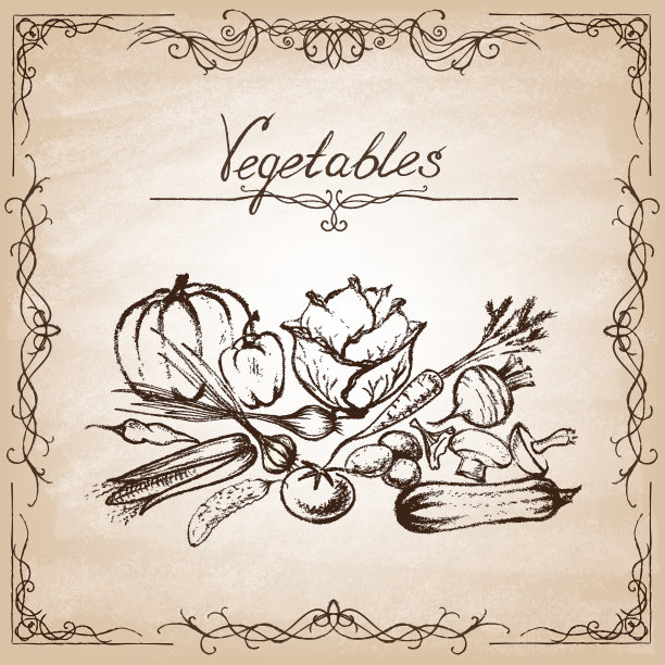 在旧纸上手绘蔬菜图片下载