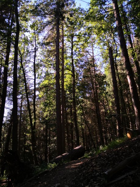黄宗泽在房地产图片下载