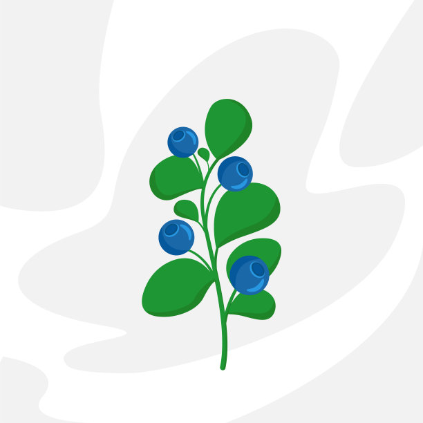 蓝莓现实。股票矢量图图片下载