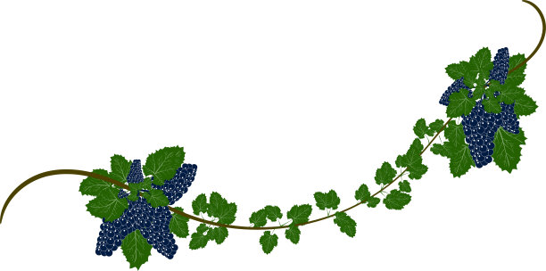 葡萄和藤蔓的抽象背景。图片下载