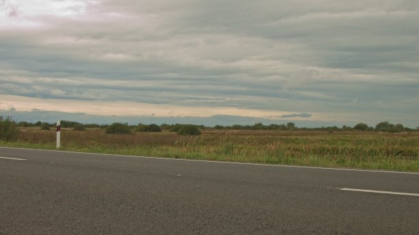 背景，平滑的相机旋转，道路摄影在背景沼泽和田野，沥青和野生动物图片下载