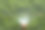 灌溉系统用于浇灌草坪作为背景或纹理图片下载