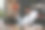 帅哥在工作的时候玩得很开心。图片下载
