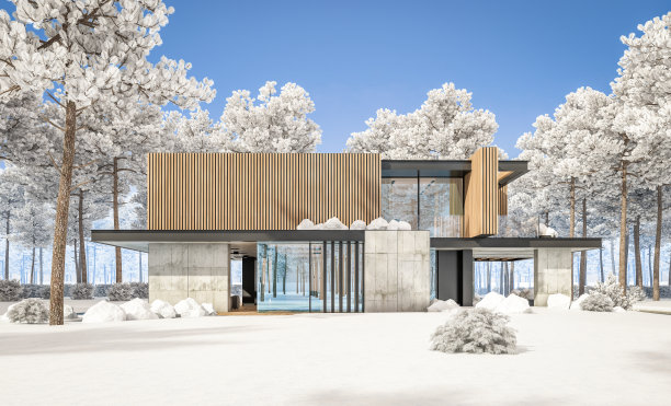 现代住宅的3d渲染与木板立面在冬天图片下载