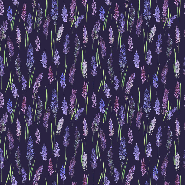无缝模式与薰衣草花在一个彩色的背景。图片下载