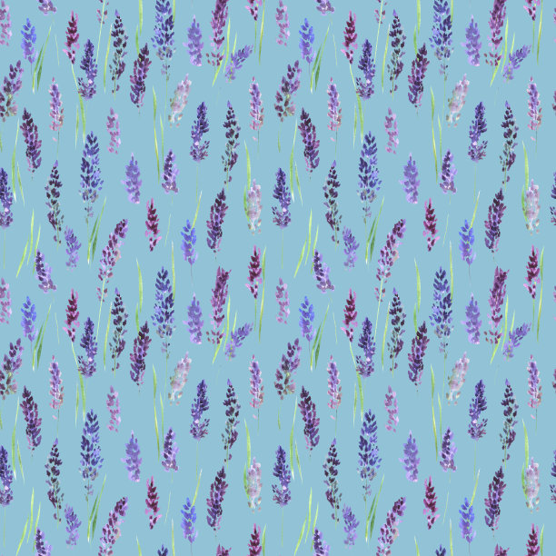 无缝模式与薰衣草花在一个彩色的背景。图片下载