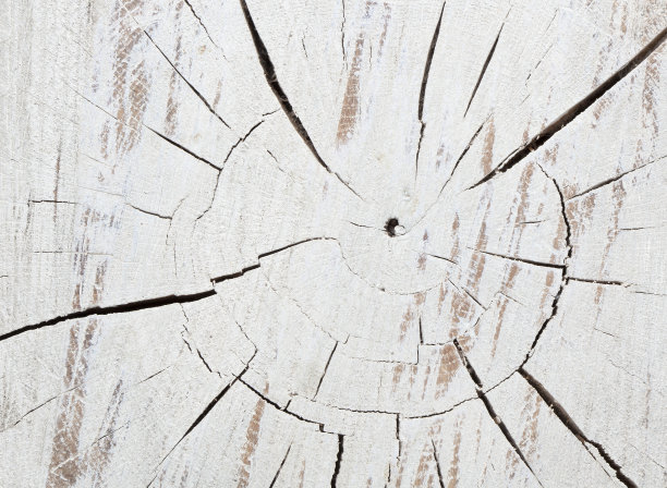 了木材纹理图片下载