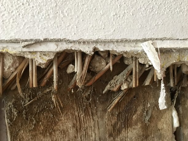 在重建过程中发现的“帕拉赫”，用一根缠结的稻草代替石膏图片下载