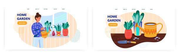 女人在家花园里浇花。室内植物概念插图。矢量网站设计模板。盆栽花卉，室内植物，花店的爱好图片下载