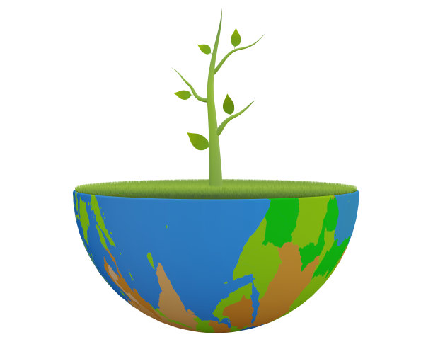 白色背景上的绿色植物和地球图片下载