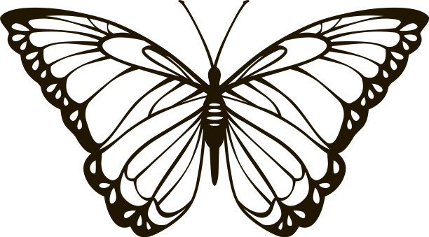 简化程式化可爱的蝴蝶图片下载