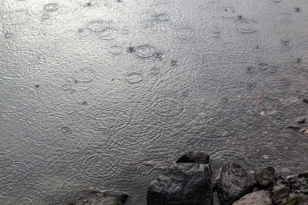 湖水在雨中。图片下载