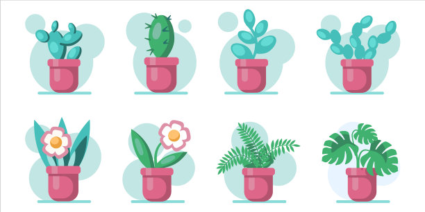 在花盆中种植平置绿色图片下载