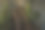 一段棕色的木楼梯上挂着许多明亮的灯，靠着一堵破旧的灰色混凝土墙。阁楼上的圣诞树。砖面有一面圆镜子，下面有一个黑色的架子。图片下载