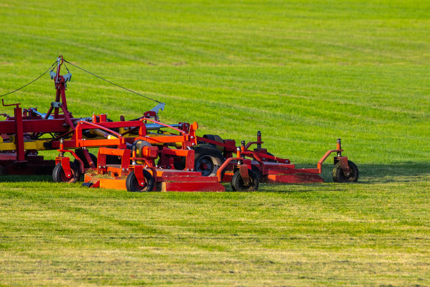 草坪草的工业生产。修剪过的农田，耐机械冲击和耐干旱的绿色草坪草。拖拉机带着割草机穿过田野，割草和覆盖草。图片下载