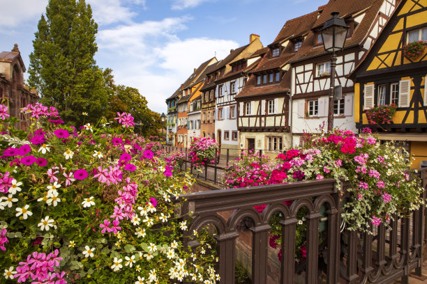 科尔马镇，运河岸边的半木制传统房屋，桥上的鲜花。夏天，法国阿尔萨斯。图片下载