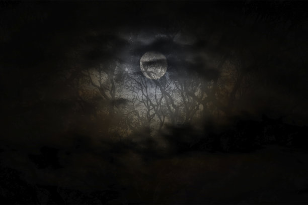 其他照片的月光和阴影的树枝万圣节的背景。图片下载