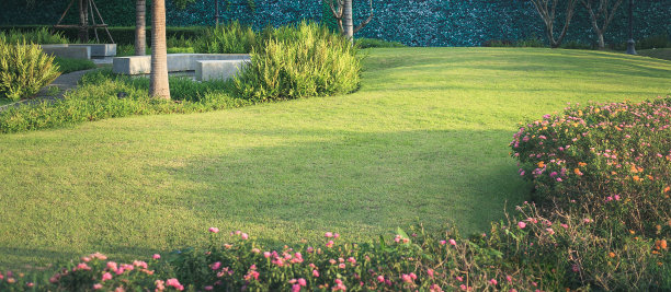 花园和景观为背景。图片下载